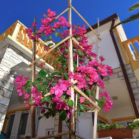 Apartment Toplek 2201 Vir